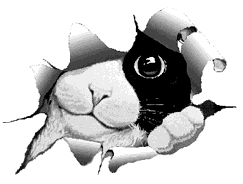 NaverBlog profile picture for @moimoi