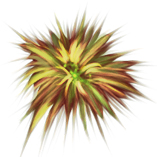 NaverBlog profile picture for @textures