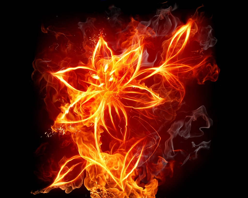 NaverBlog profile picture for @aspire