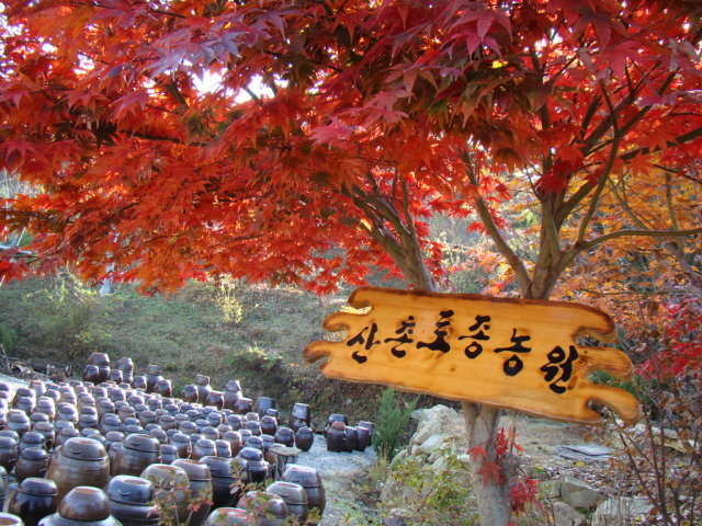 산촌식품 이미지