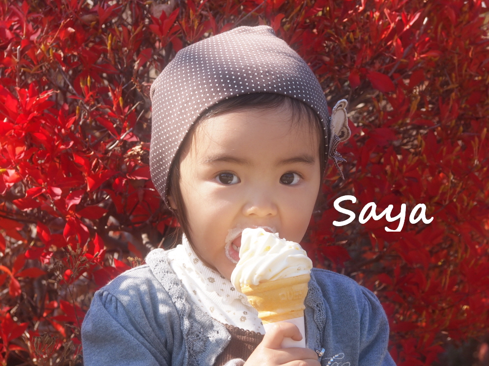 NaverBlog profile picture for @sayahime