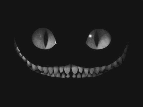 NaverBlog profile picture for @weiss