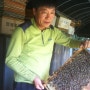 꿀벌지기 축산기술사