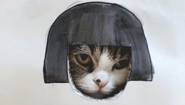 NaverBlog profile picture for @heaviest