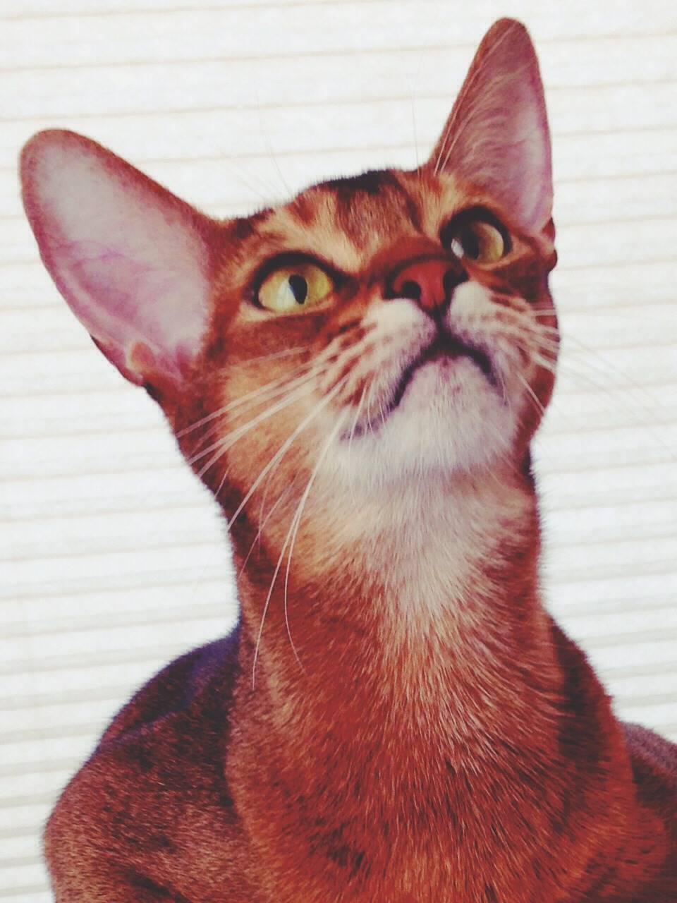 NaverBlog profile picture for @malaria