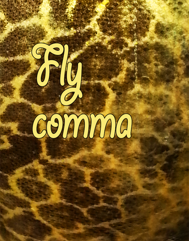 NaverBlog profile picture for @comma