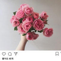 https://blogpfthumb-phinf.pstatic.net/20190925_70/oduer0333_1569339247732bg5c6_JPEG/image.jpg?type=f204_204