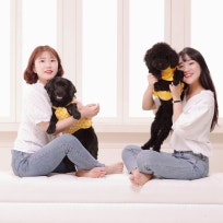 행복한 댕언니