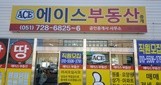 에이스부동산중개 (Ace Real Estate Agent in Busan)