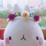 프로필
