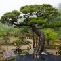 가나안조경 특수목