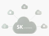SKB Direct Blog Story