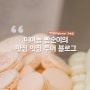 프로파일