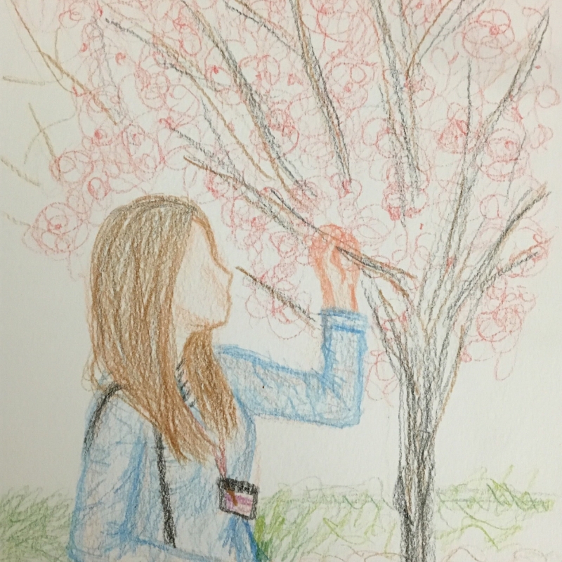NaverBlog profile picture for @laura_12