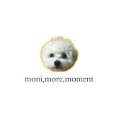 모니모어모먼트: moni more moment