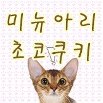 똥냥이 아비시니안가족 미뉴아리초코쿠키
