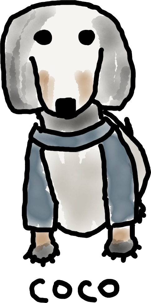 NaverBlog profile picture for @allison