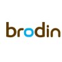 브로딩 brodin
