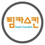Team Carskin