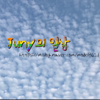 Juny_Story