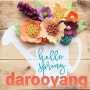 Darooyang