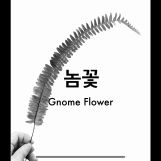 놈꽃 Gnome Flower