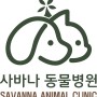 사바나동물병원