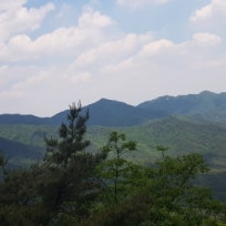 힐링이야기