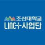 조선대 링플사업단