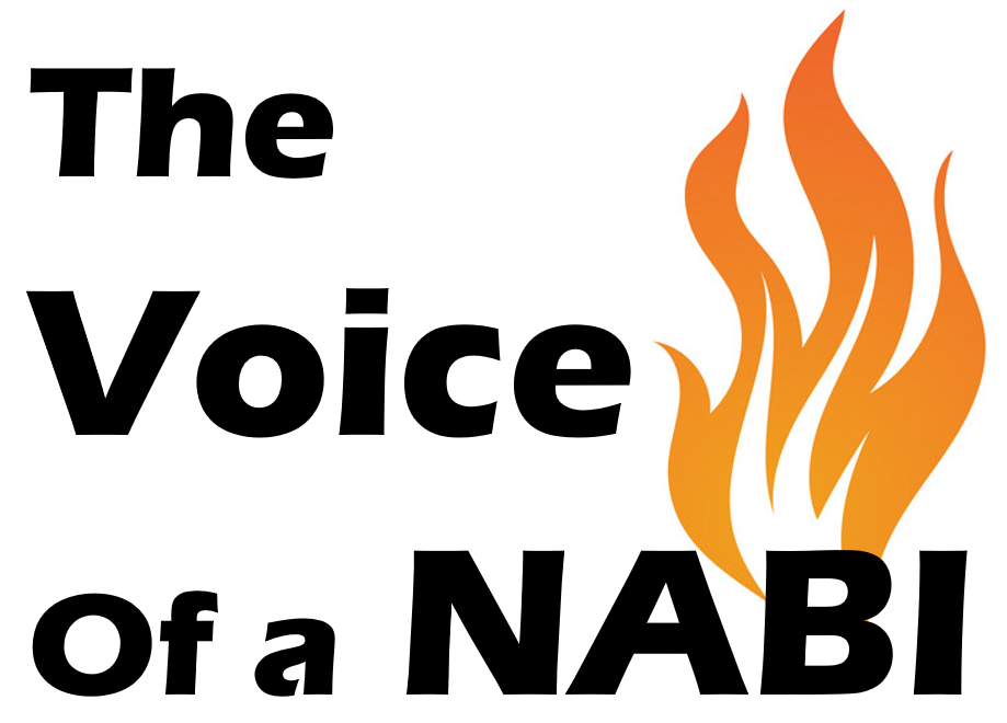 NaverBlog profile picture for @nabivoice