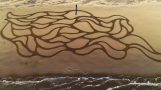 모래조각가 지대영의 블로그