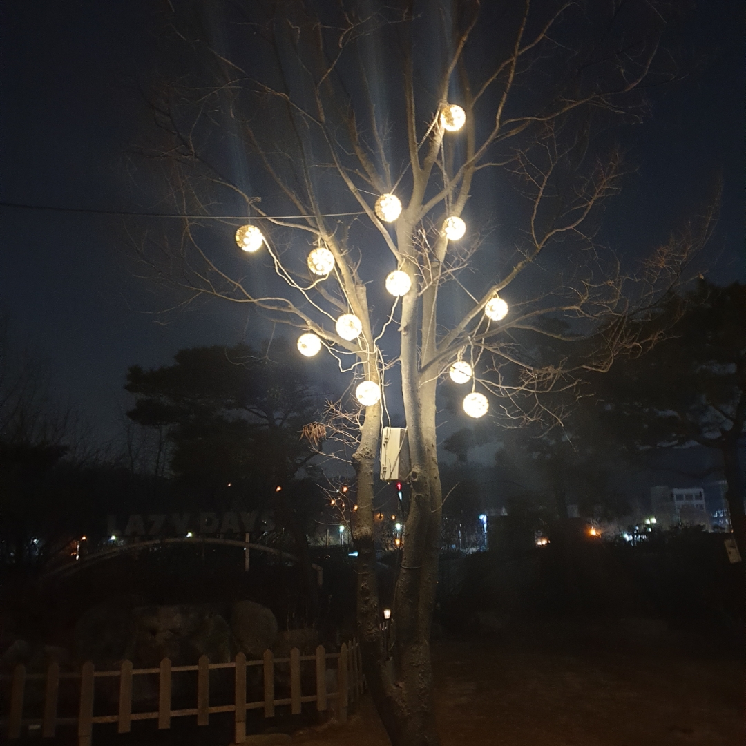 인플루언서 프로필