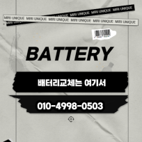 BATTERY PANDA
