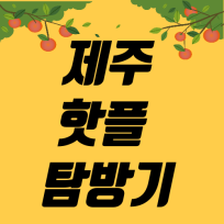 보꾸부꾸 제주 핫플 탐방기