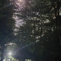 새벽감성