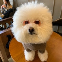 아들둘맘^^