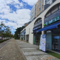 도로시님의블로그