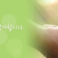 햇살요양원