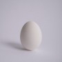 Working Egg