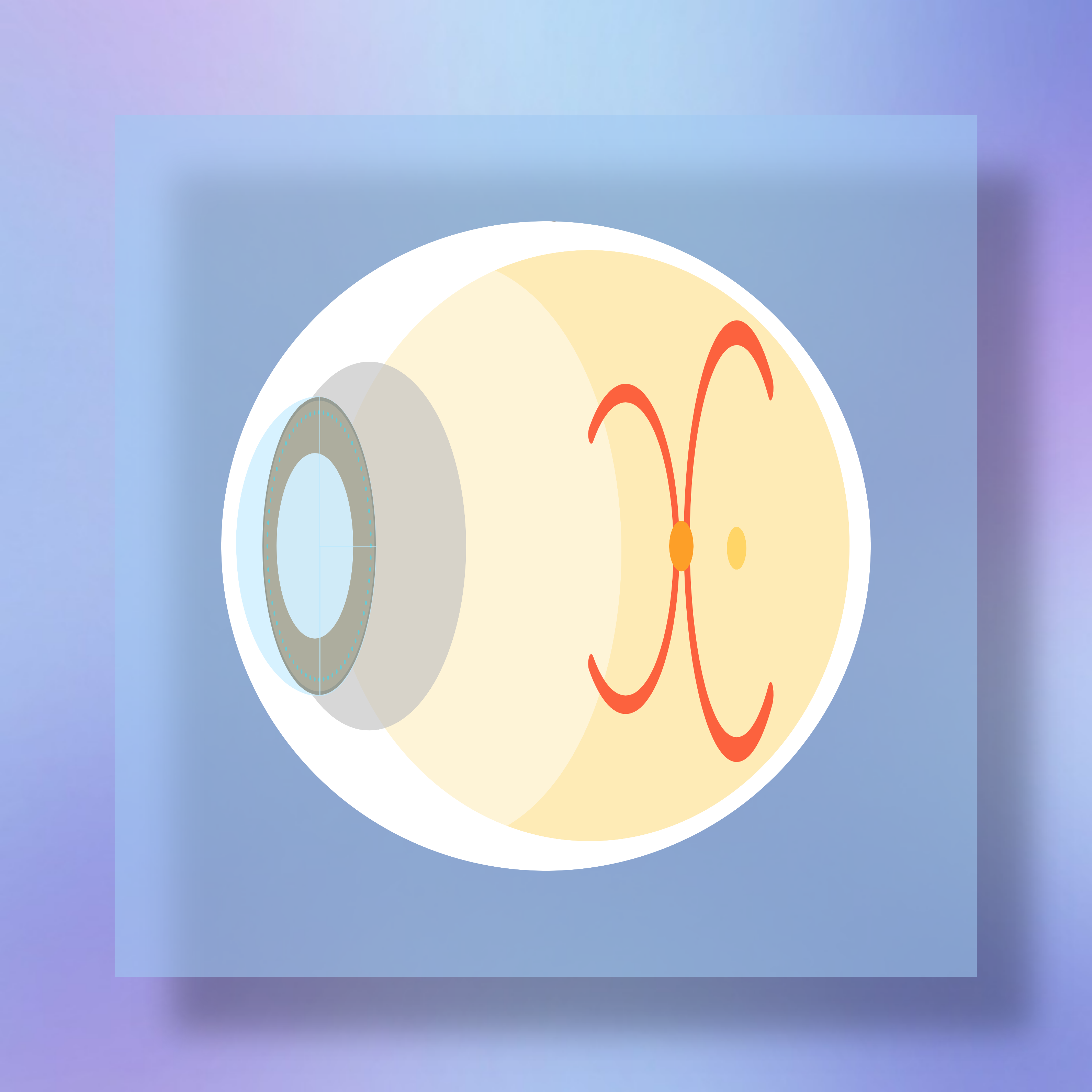 NaverBlog profile picture for @ophthalmology