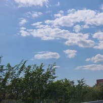 햅삐하우스 : 네이버 블로그