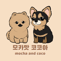 모카맛 코코아