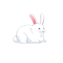 AAL이름없는 토끼