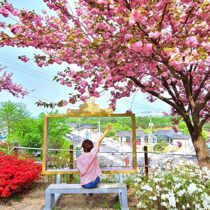 인플루언서 프로필