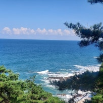 부동산 정보