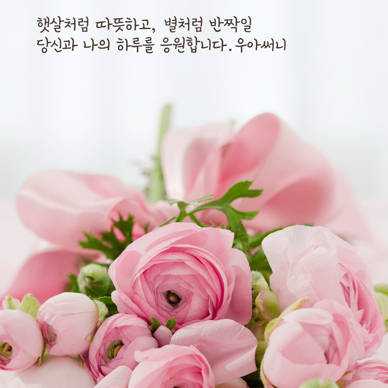 오십미리 이미지