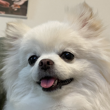 북해도목장