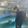 프로파일