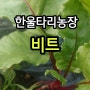 프로파일