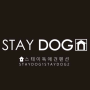 Staydog1 Staydog2